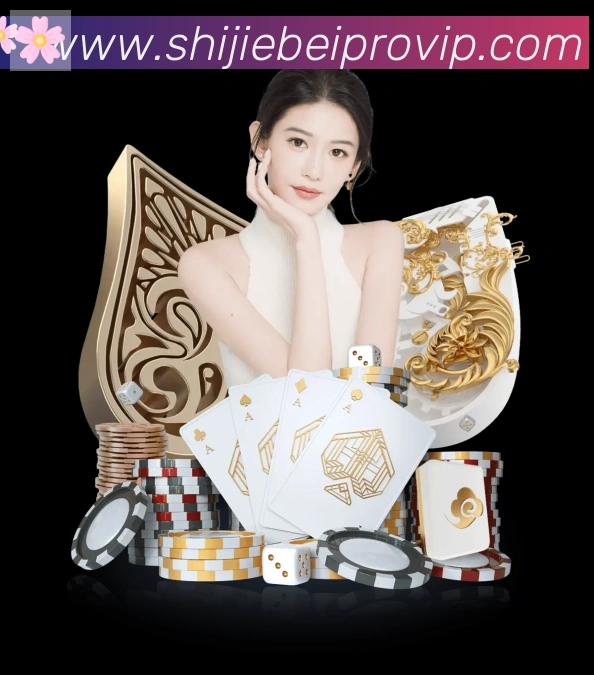 未来规划
